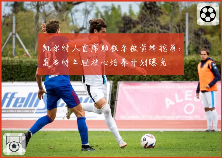 凯尔特人首席助教李被黄蜂挖角,夏洛特年轻核心培养计划曝光