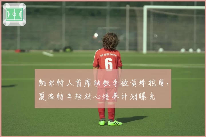 凯尔特人首席助教李被黄蜂挖角,夏洛特年轻核心培养计划曝光